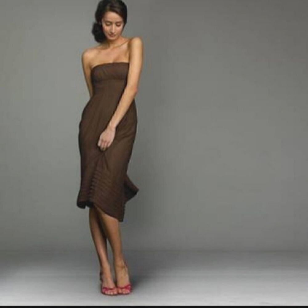 J. Crew Juliet Silk Chiffon Dress